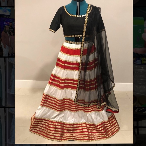 Dresses & Skirts - Indian/ pakistani Lehenga